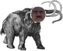 mamut.jpg