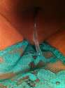 tumblr_nylh17nOi81rdpmrxo3_1280.jpg