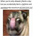 12718321_977555605658256_4317062445623709329_n.jpg