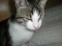 IMGP0008.jpg