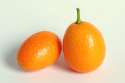 Kumquat-0245[1].jpg