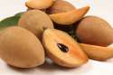 Molix-Sapodilla[1].jpg