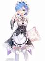 rem30.jpg