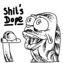 fred_the_fish.png