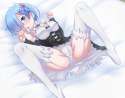 rem114.jpg