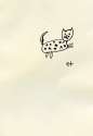 starry cat.jpg