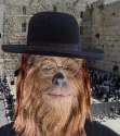 Jewbacca.jpg