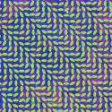 1470084612120.jpg