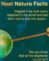 elephant fact number 1.jpg