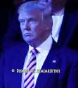 DonaldTellTale.jpg