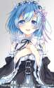 rem98.jpg
