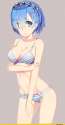 rem79.jpg