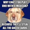 dog is on to you.jpg