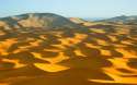 justsomedesert.jpg
