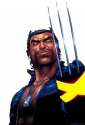 2027930-newxmen_wolverine.jpg
