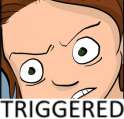 TRIGGERED.exe.jpg