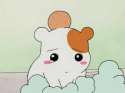 ebichu.jpg
