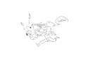bones.png