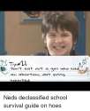 Instagram-Neds-declassified-school-survival-guide-on-ffd4d1.png