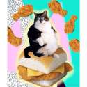 cat-saturday-152.jpg