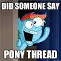 pony.jpg