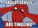spidey1.jpg