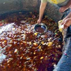 gutter-oil-yer-sq.jpg