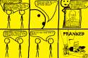 social experiment.gif