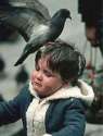 pigeon-poop.jpg