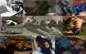 413039d1354312491-can-you-identify-these-school-spree-shooters-bodies-schoolandspreeshootersbodies.jpg