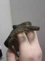 IMG_20120405_145145.jpg