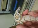 IMG_20130514_164613.jpg
