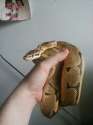 IMG_20130607_190007.jpg