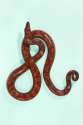 PbRe8sU.jpg