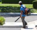 leafblowerimage-300x245.jpg