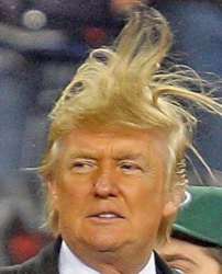 trump-hair.jpg