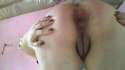 IMG-20150817-WA0007.jpg