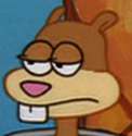 sandy.png