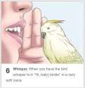 image.jpg
