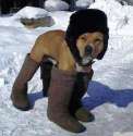 FB_IMG_1465527984720.jpg
