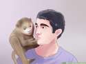 Take-Care-of-a-Monkey-Step-2-Version-2.jpg