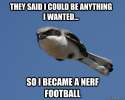 they said I could be anything I wanted so I became a Nerf football.jpg
