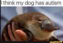 Autism 1.jpg