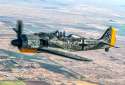 fw190.jpg