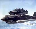 Hells_Angels,_Flying_Tigers_1942.jpg