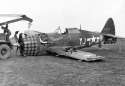 Johnson_p47.jpg
