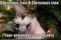 christmastree.jpg
