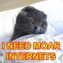 Happycat_Moar_Internets.jpg