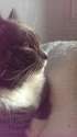 IMAG0214.jpg
