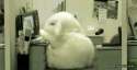 sleepy.gif